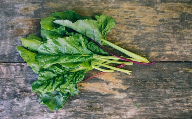 taze yeşil mangold