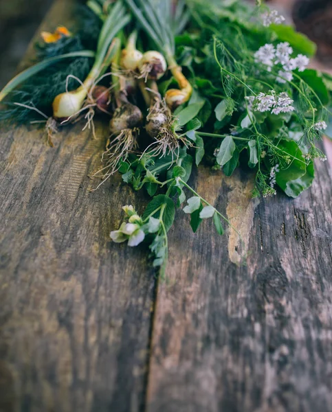 Mix van landbouw verse groene kruiden — Stockfoto