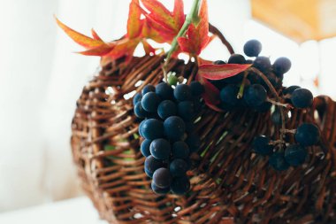 Üzüm sepeti dışarı asılı demet