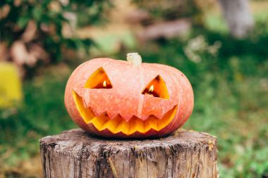sonbahar halloween balkabağı
