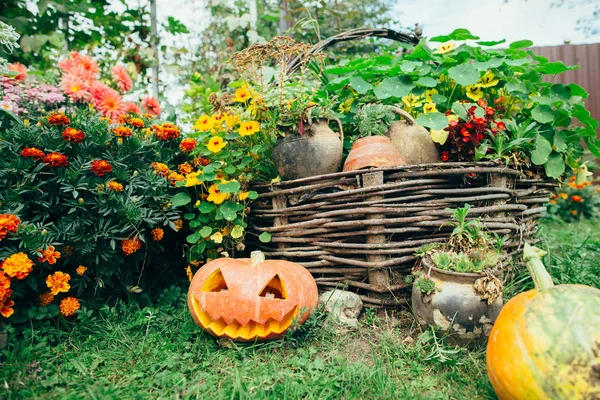 Jesień halloween dynia — Zdjęcie stockowe