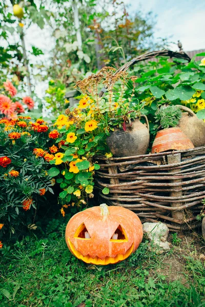 Calabaza de Halloween de otoño —  Fotos de Stock
