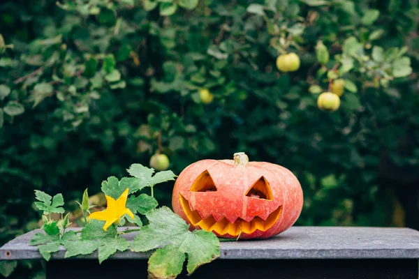 Höstens halloween pumpa — Stockfoto