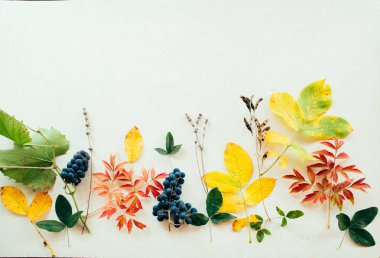 kolaj sonbahar yaprakları