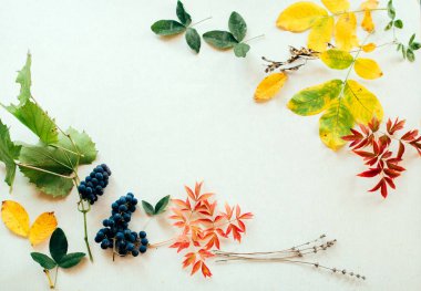 kolaj sonbahar yaprakları