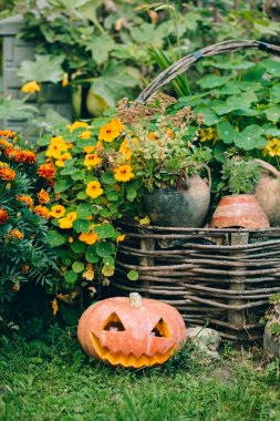 Cadılar Bayramı balkabağı feneri