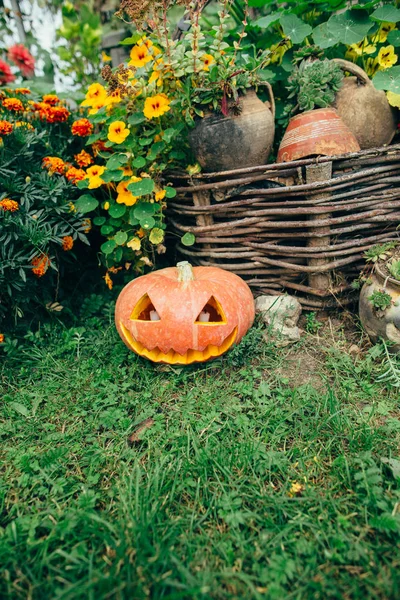 Linterna de calabaza de Halloween —  Fotos de Stock