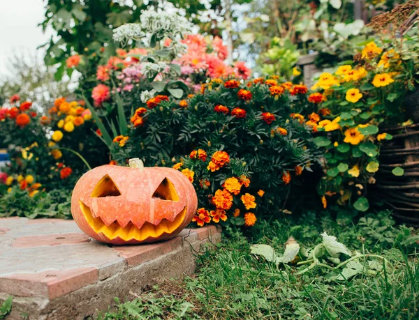 Halloween pumpa lykta — Stockfoto