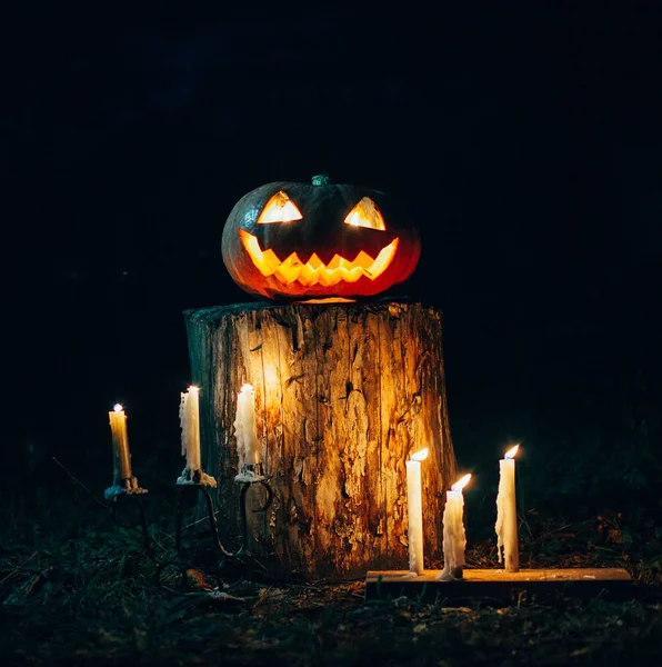 Cadılar Bayramı balkabağı feneri 