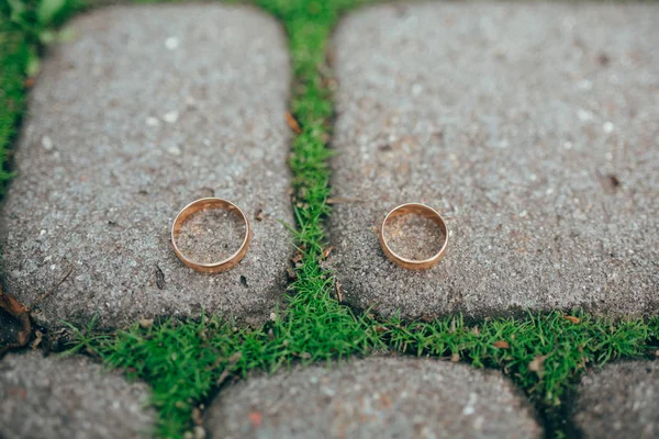 Elegantes anillos de boda — Foto de Stock