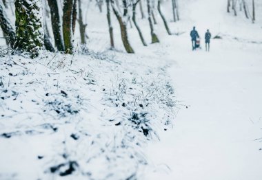 Kar fırtınası Park, kış manzarası