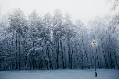 Kar fırtınası Park, kış manzarası