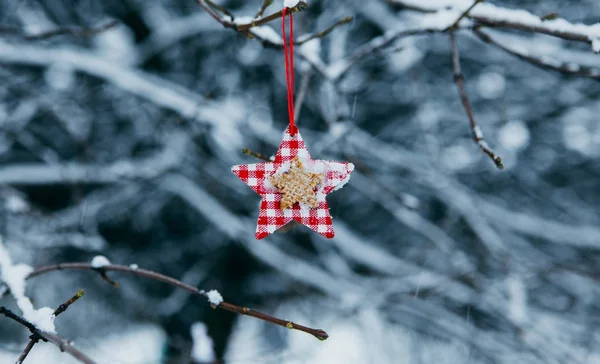 Рождественская Игрушка Висит Заснеженной Ветке Парке — стоковое фото