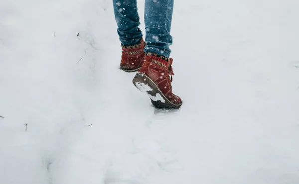 Нога Женщина Зимних Туфлях Прогулка Снегу Зимнем Парке — стоковое фото