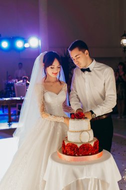  Gelin ve damat düğün pastalarını kesiyorlar.