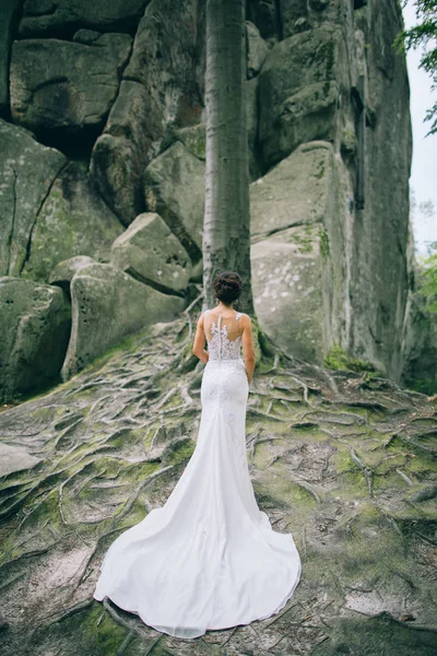 Schöne Braut Einem Weißen Kleid Posiert Auf Der Natur — Stockfoto