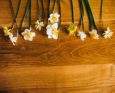 ahşap zemin üzerine nergis çiçekleri 