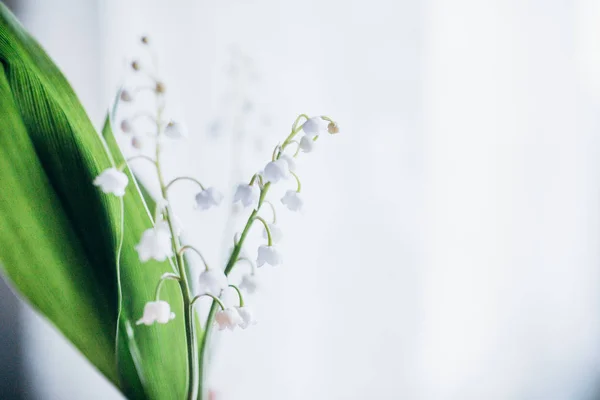 Blumenstrauß Der Maiglöckchen — Stockfoto