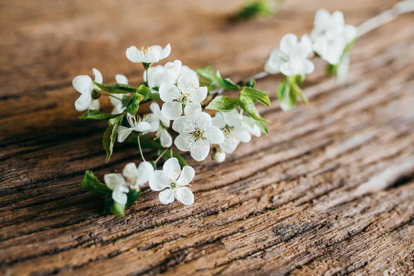 Gałąź Kwiat Podłoże Drewniane — Zdjęcie stockowe