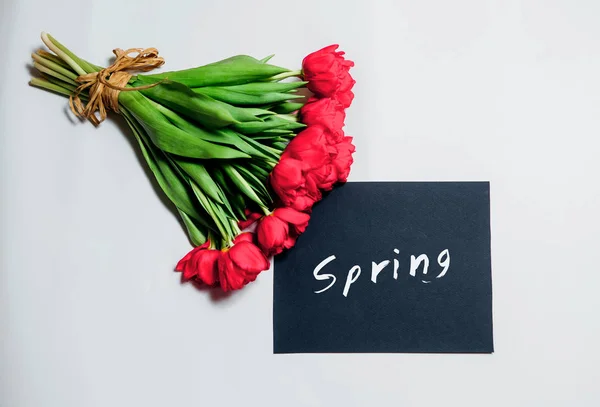Tulipany Napis Białym Tle Wiosna — Zdjęcie stockowe