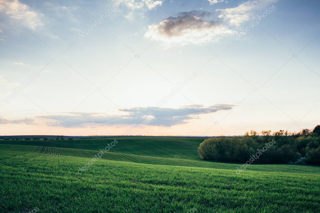 Beautiful sunset over the agricultural field