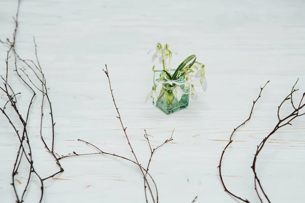 Снежные Капли Цветок Деревянном Фоне Концепция Весны — стоковое фото