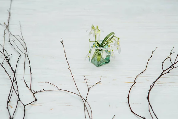 Floresce Gotas Neve Fundo Madeira Conceito Primavera — Fotografia de Stock