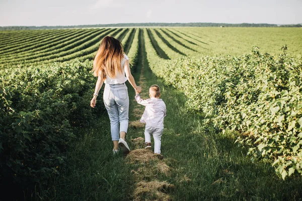 Moeder Een Kind Wandelen Het Veld — Stockfoto