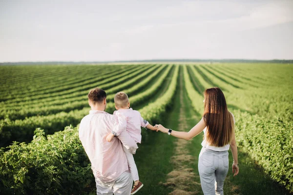 Glückliche Familie Posiert Auf Der Grünen Wiese — Stockfoto