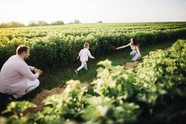 Küçük Çocuk Yeşil Bir Alanda Ailesiyle Oynuyor — Stok fotoğraf