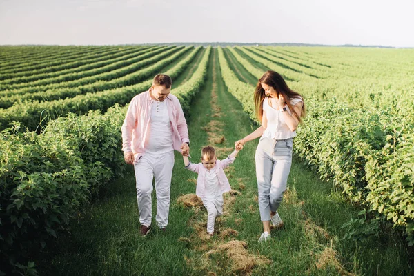 Gelukkig Familie Poseren Een Groen Veld — Stockfoto