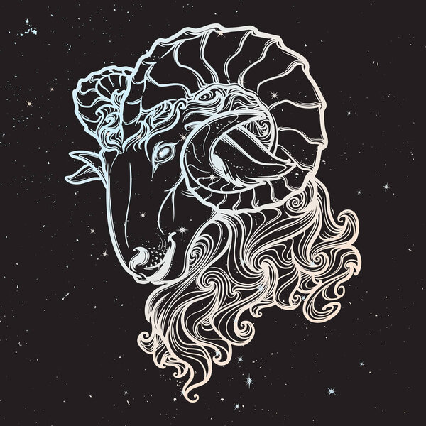 Astrological Taurus isolated on starry sky background.