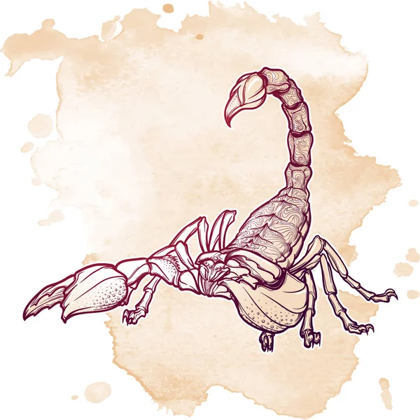 Zentangle stylizowany rysunek szkic skorpion czarny na białym na tło grunge — Wektor stockowy