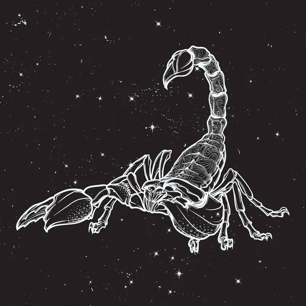 Zentangle bergaya kartun scorpio sketsa hitam diisolasi pada latar belakang langit malam - Stok Vektor