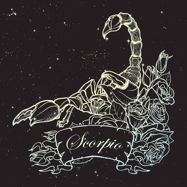 Astrologische scorpio black schets op nacht hemelachtergrond — Stockvector