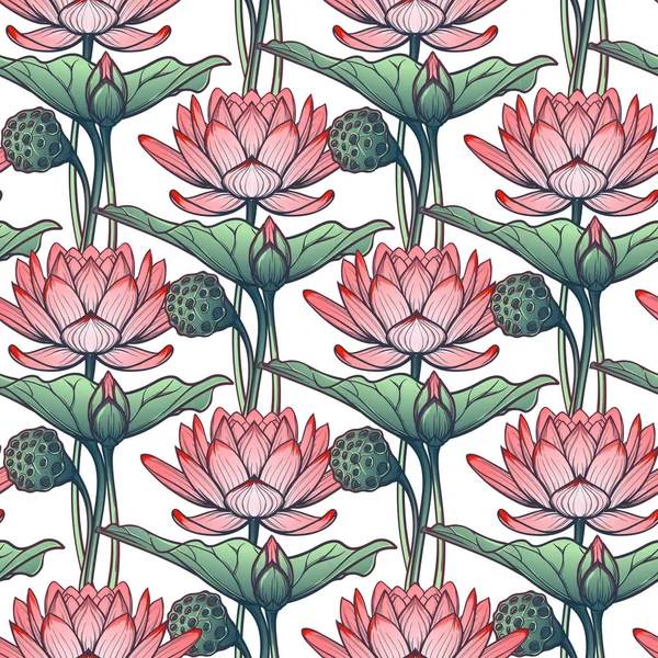 Lotus bakgrund. Blommönster med näckrosor isolerad på vit bakgrund. — Stock vektor
