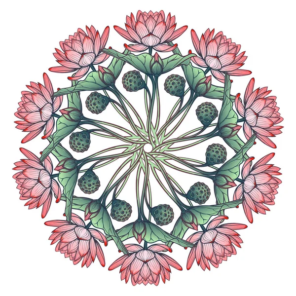 Fondo de loto. Adorno decorativo floral. Lirios acuáticos en forma de corona circular aislados sobre fondo blanco — Vector de stock