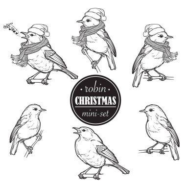 Christmas Robin. Set of 6 hand drawn sketch style pictures of Robin in different angles with or without hat and scarf clipart