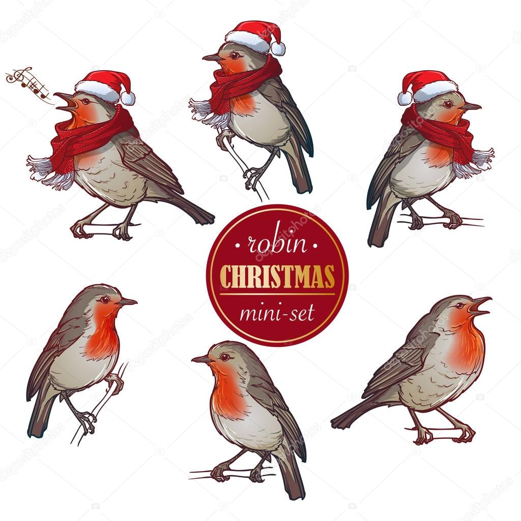 Christmas Robin. Set of 6 hand drawn paintings of Robin in different angles with or without hat and scarf