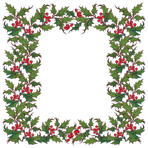 Marco ornamental de Navidad. Ramas de acebo con hojas y bayas. Tarjeta de felicitación de Navidad plantilla — Vector de stock