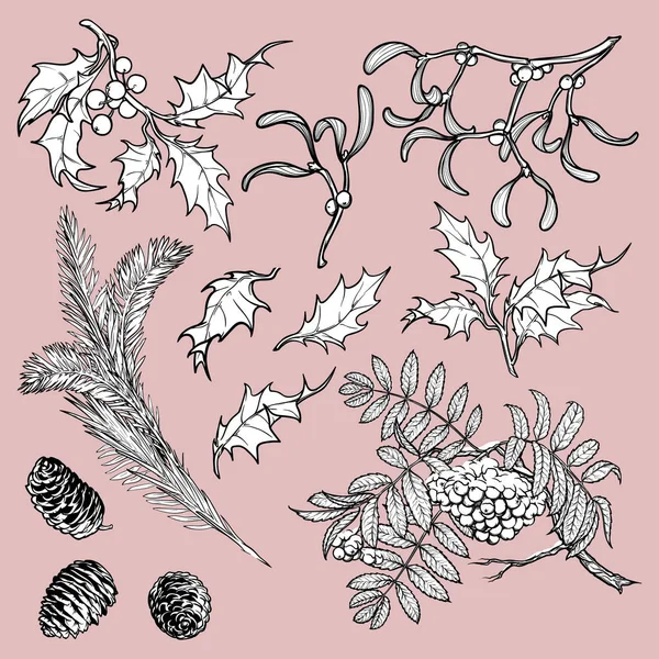 Ramas dibujadas a mano y hojas de árboles forestales templados. Bosquejo floral aislado sobre fondo blanco. Muérdago, rowanberry, acebo, abeto, conos y bayas . — Archivo Imágenes Vectoriales