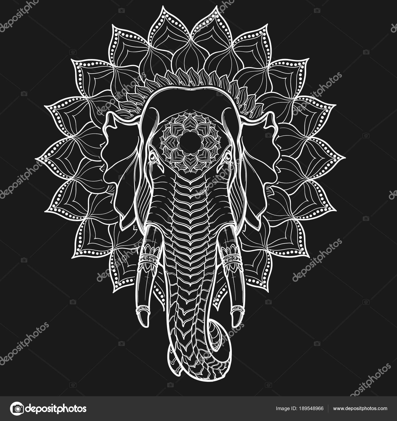 Tête Déléphant Sur Mandala Lotus Motiff Populaire L