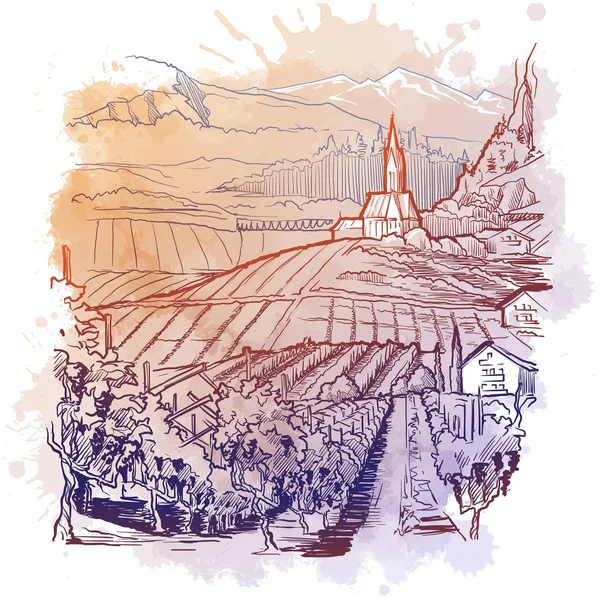 Vigneto in Tirolo Alpi, Austria. Panorama rurale della vallata montana con piantagione di viti e villaggio. Schizzo lineare su uno sfondo con texture ad acquerello . — Vettoriale Stock