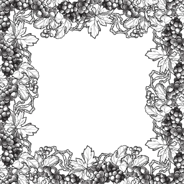Grapes clusters with leaves. Decorative rectangular frame. — 스톡 벡터