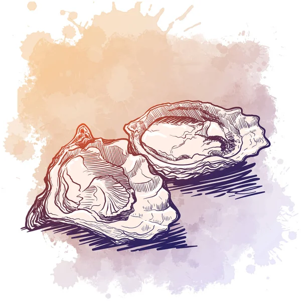Stilleven getekend met een hand die oester vasthoudt... een fles witte wijn en een paar oesters op tafel. Blanco voor het menu van het restaurant. Schets op een waterkleur textuur achtergrond. — Stockvector