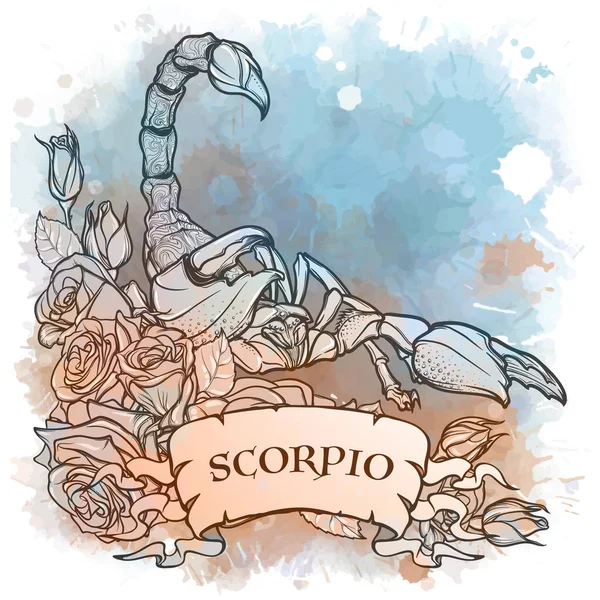 Signo do zodíaco de Escorpião, elemento de Água. Desenho linear intricado em fundo texturizado aquarela . —  Vetores de Stock