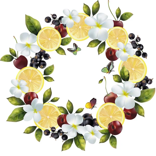 Meyveli berry karışımı bir daire içinde.