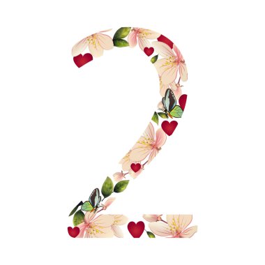 Çiçekli iki numaralı