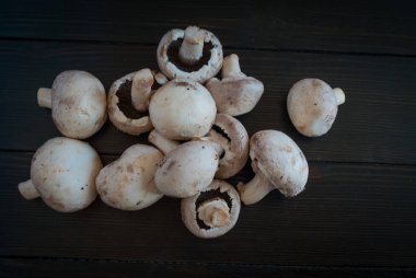 Karanlık bir arka plan üzerinde beyaz mantar.