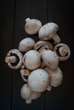 Karanlık bir arka plan üzerinde beyaz mantar.